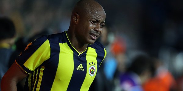 <h2>Ayew</h2>