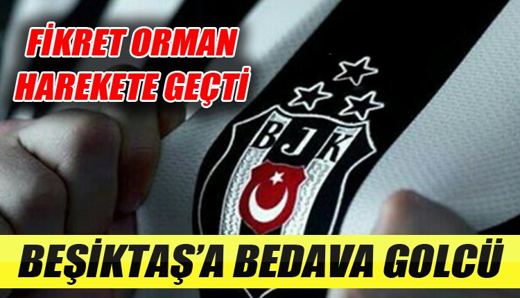 'Fikret Orman harekete geçti! Bedavaya golcü...
