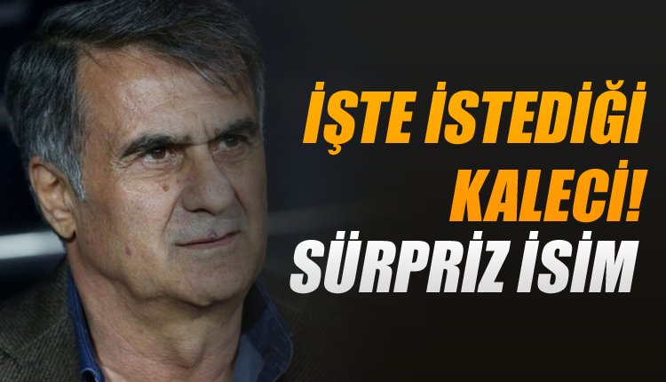 'İşte Şenol Güneş'in istediği kaleci! Süper Lig'den...
