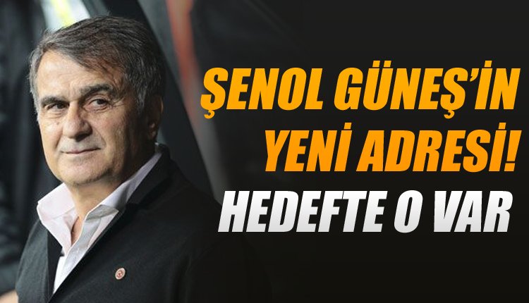 'Şenol Güneş, Beşiktaş'tan ayrılırsa adresi...
