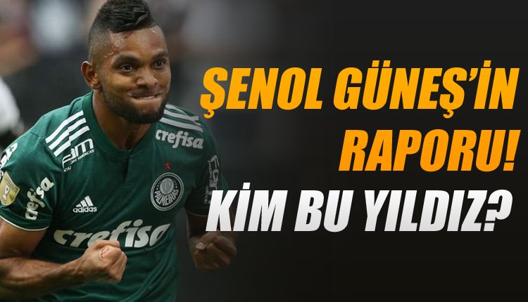 'Şenol Güneş öyle bir şey dedi ki... Yönetime flaş mesaj