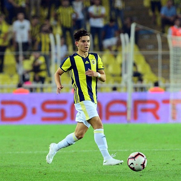 <h2>Ferdi Kadıoğlu</h2>