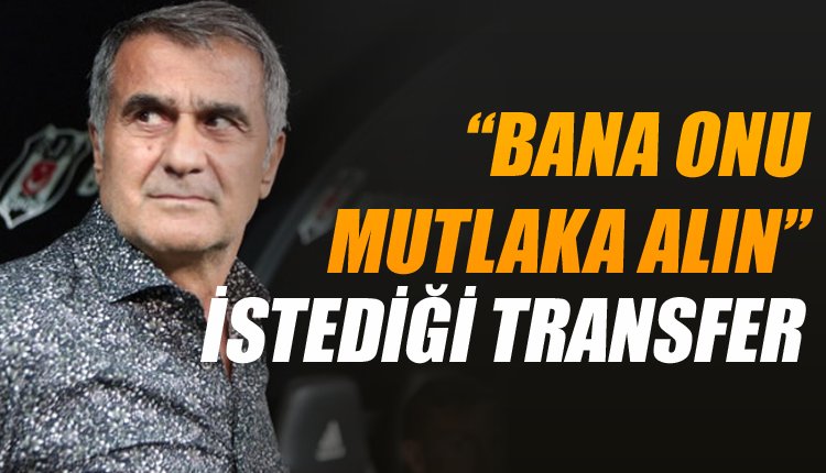 'İşte Şenol Güneş'in transferdeki ilk hedefi belli oldu