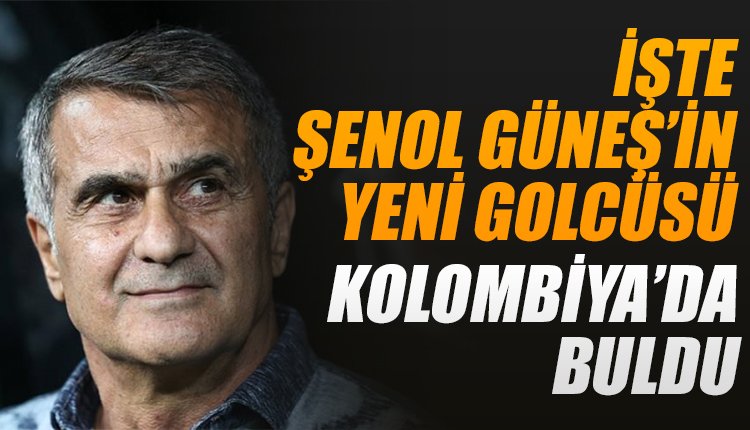'Şenol Güneş aradığı golcüyü Kolombiya'da buldu! Onay verdiği isim