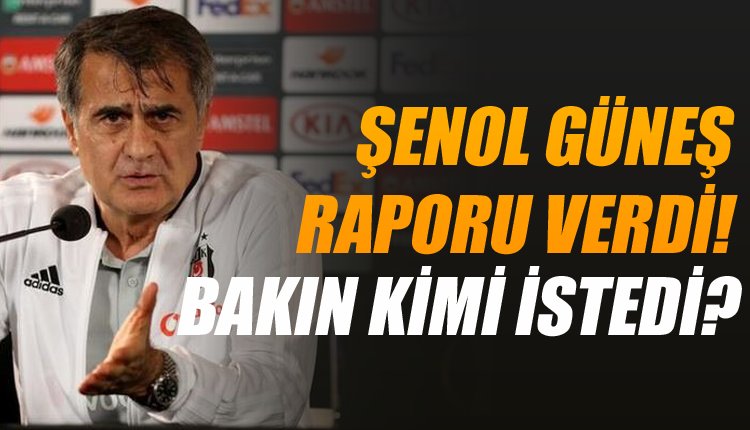 'Şenol Güneş istediği transfer sayısı! 