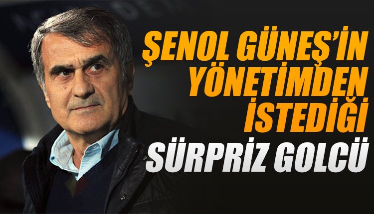 'Şenol Güneş yönetimden bakın hangi golcüyü istedi