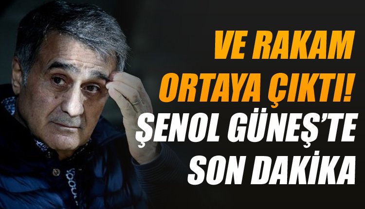 'Ve Şenol Güneş'in sözleşmesi ortaya çıktı! İşte o rakam