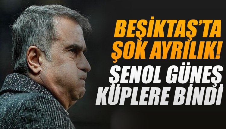 'Beşiktaş'ta şok ayrılık! Şenol Güneş küplere bindi...