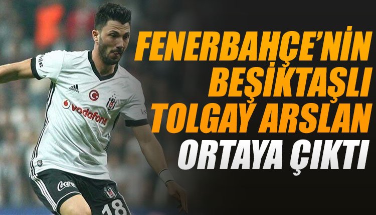 'Fenerbahçe'nin Tolgay Arslan teklifi ortaya çıktı!