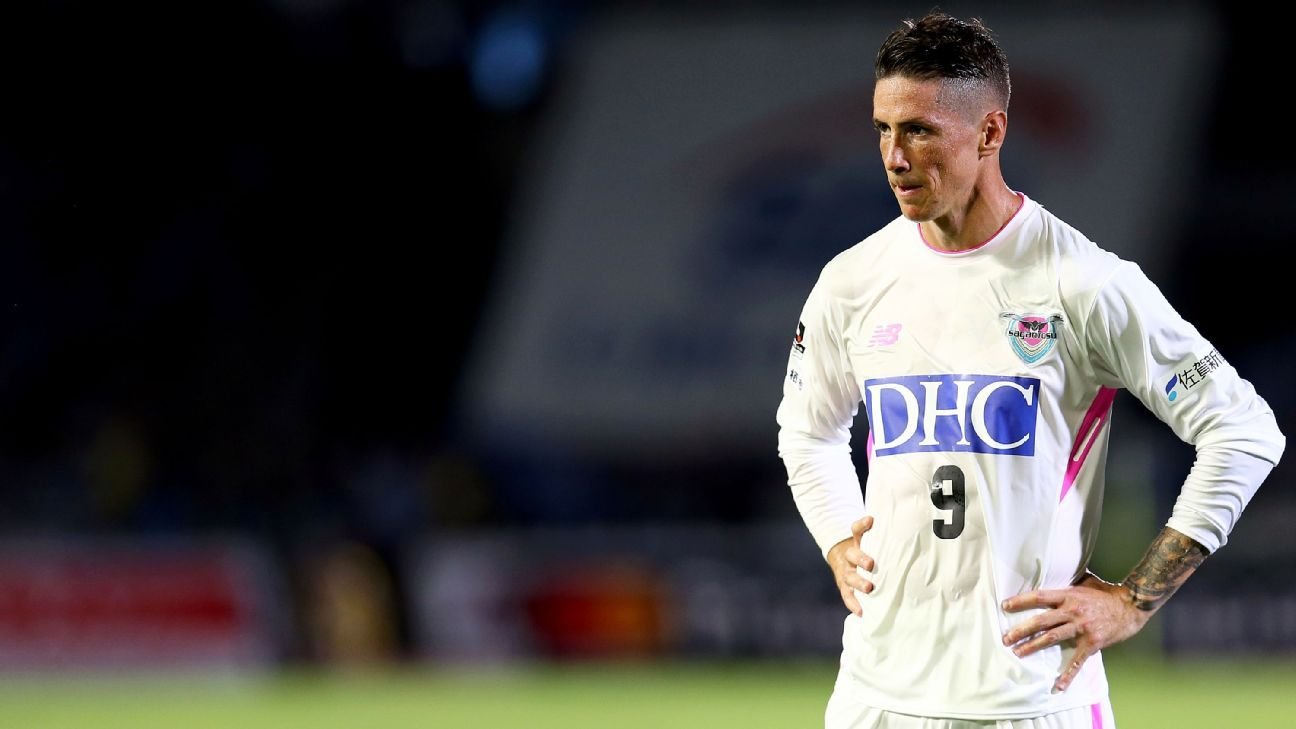 <h2>FERNANDO TORRES</h2>