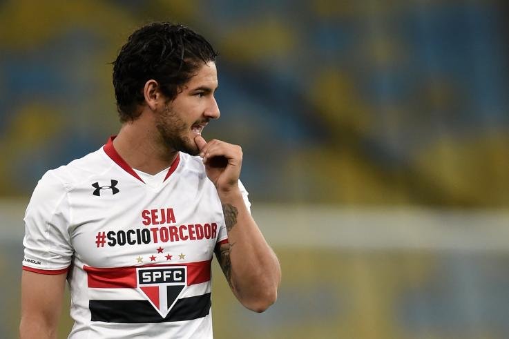<h2>PATO</h2>