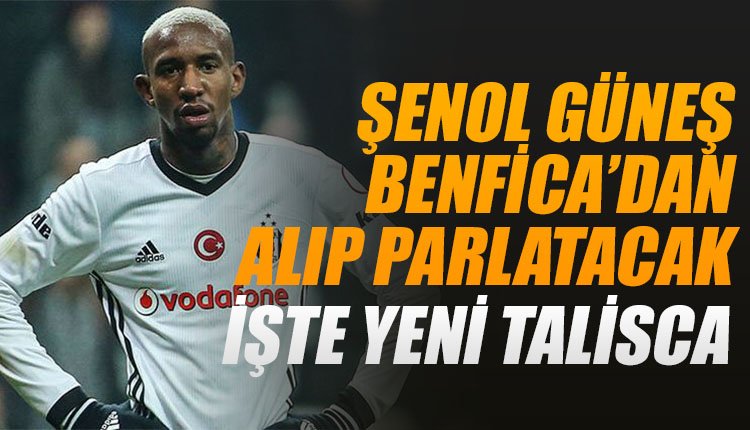 'Şenol Güneş, Benfica'dan alıp parlatacak! Talisca'dan sonra...
