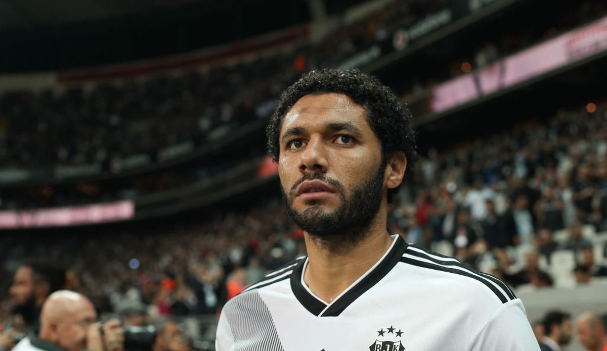 <h2>ELNENY</h2>