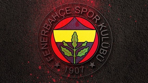 Eski SPK Başkanı, Fenerbahçe'de
