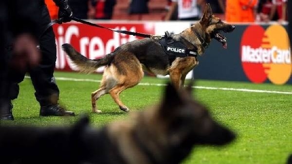 Polis köpeği futbolcuyu ısırdı!