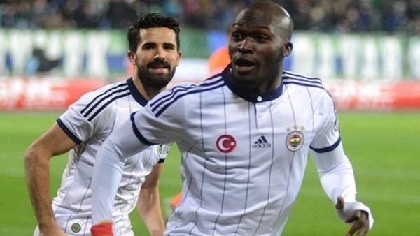 Sow: 