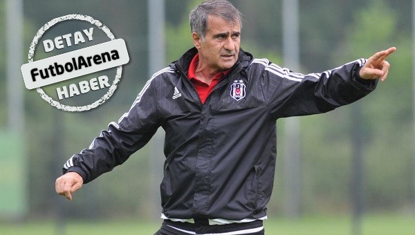 Mario Gomez, Şenol Güneş'le kral olur mu?