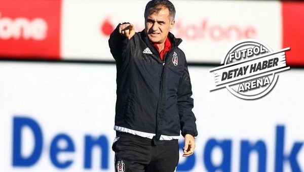 Şenol Güneş'in büyük başarısı
