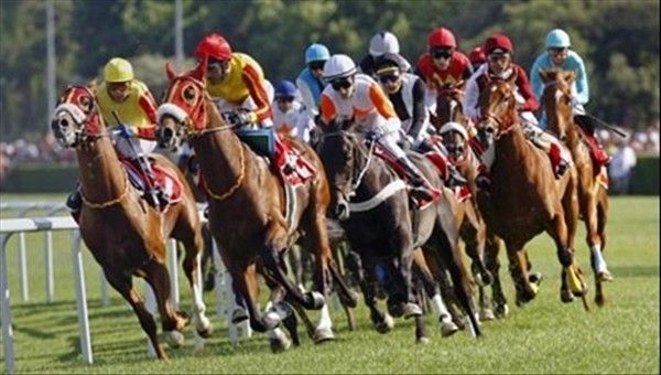 İzmir'deki at yarışında talihsiz an