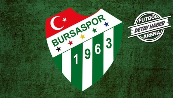 Timsah cezayı yanlış yorumladı - Bursaspor Haberleri