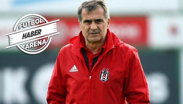 Şenol Güneş ile gol kral olan futbolcular - Beşiktaş Haberleri
