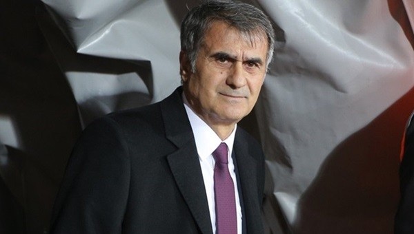 Şenol Güneş: 