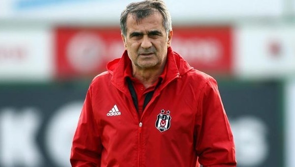 Şenol Güneş: 'Saygı duyalım ama abartmayalım'