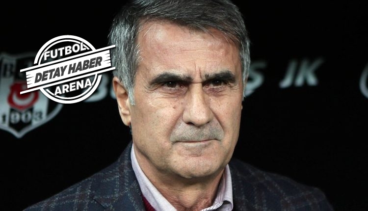 Beşiktaş'ta Şenol Güneş gerçekleri!