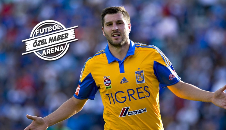 Beşiktaş'ın transferde Gignac ısrarı sürüyor