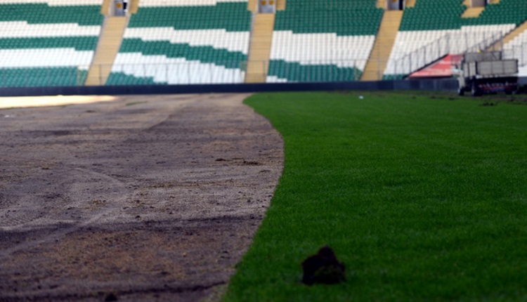 Bursasporun stadyumunda hibrit çim çalışması