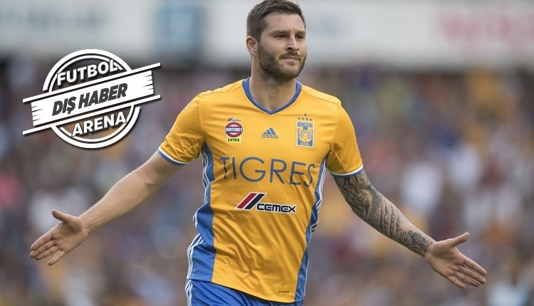 Beşiktaş'a Gignac'tan transfer yanıtı