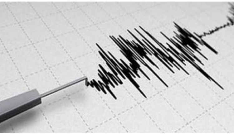 Bodrum'da korkutan deprem
