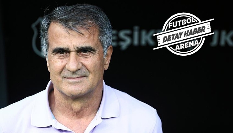 Beşiktaş'ta Şenol Güneş'in cezasında gözden kaçan durum