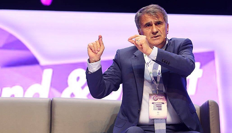 Beşiktaş'ta Şenol Güneş'ten Ali Palabıyık itirafı