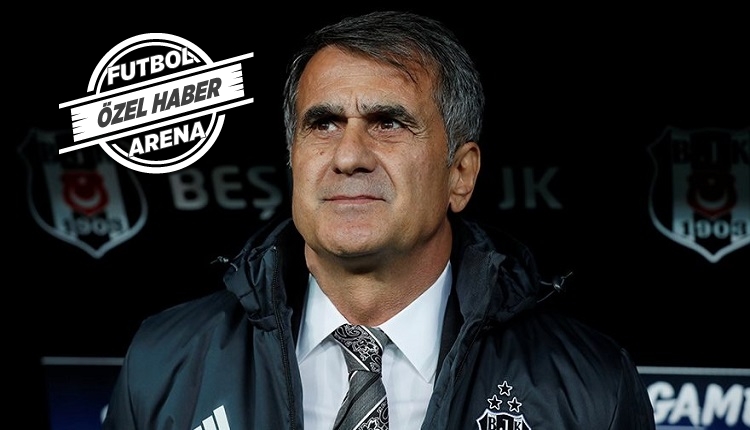 Şenol Güneş'in Orkan Çınar hakkında transfer kararı