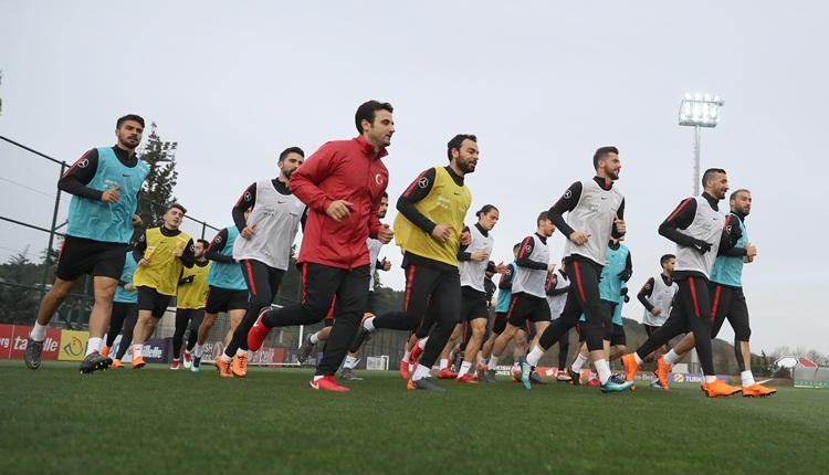 A Milli Takım'da Cenk Tosun, Selçuk İnan ve Hakan Çalhanoğlu sevinci