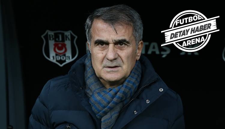 Gençlerbirliği'nin belalısı Şenol Güneş