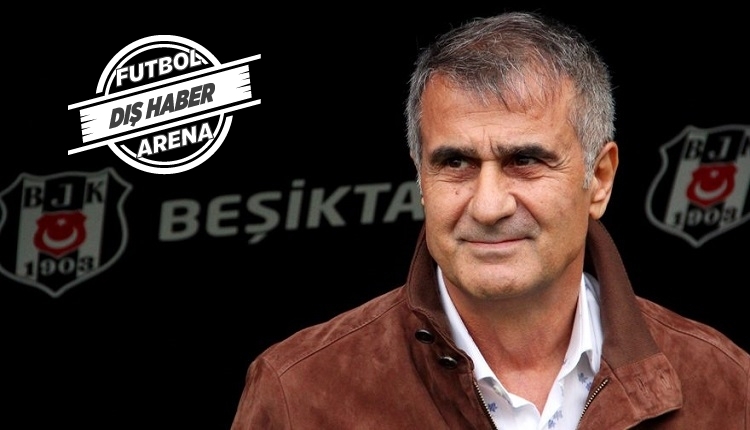 Şenol Güneş: 