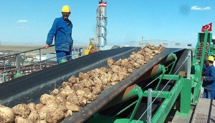 Şeker fabrikaları neden özelleşiyor? Şeker fabrikaları kapandı mı? Alpullu'daki mitingte yaşananlar - Şeker fabrikası haberleri (1 Nisan Pazar 2018)