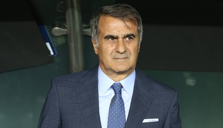 Şenol Güneş: 'Canım değil, içim acıyor'