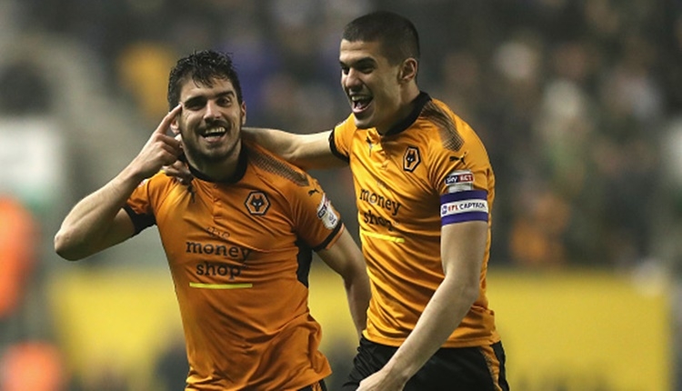 Wolverhampton Wanderers, Premier Lig'de