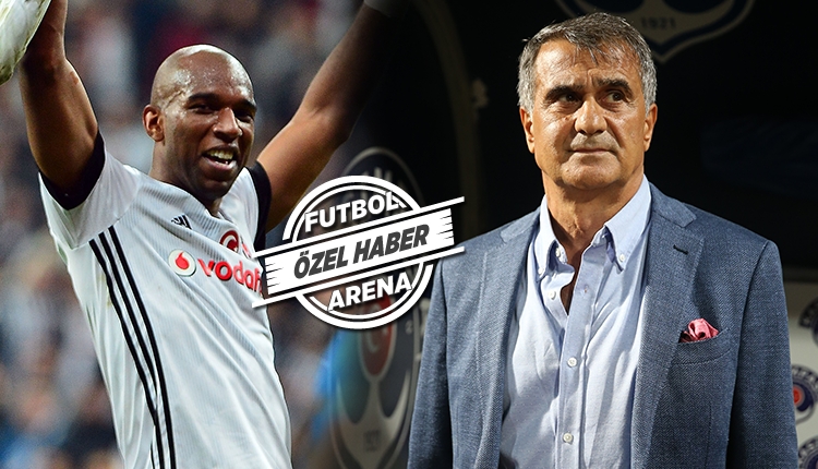 BJK Transfer: Beşiktaş'ta Şenol Güneş'ten Babel için transfer kararı