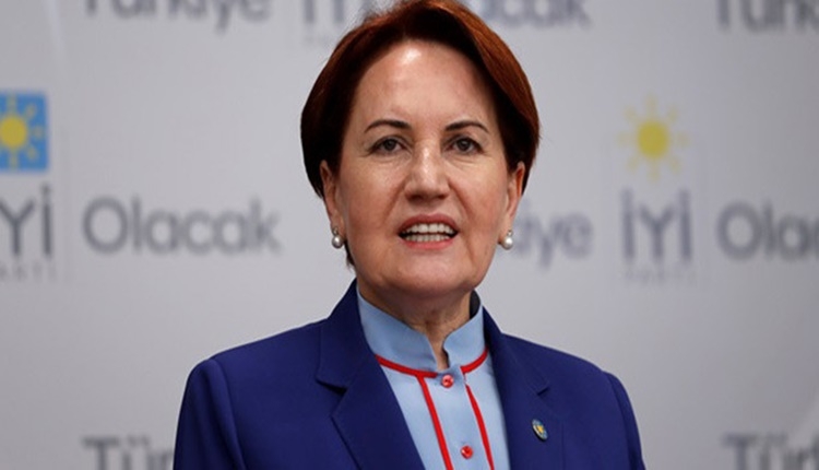 Meral Akşener hangi takımı tutuyor? (Meral Akşener kimdir, neleri?)