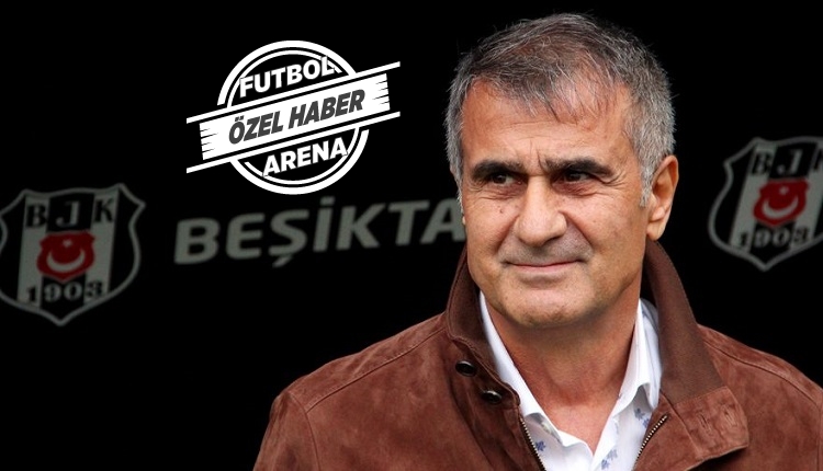 Şenol Güneş'e yeni yardımcı geliyor! Listede 4 aday var