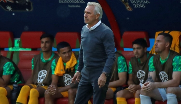 Bert van Marwijk: 'Fransa'ya karşı beraberliği hak etmiştik'