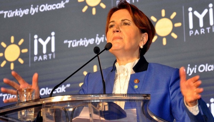 Meral Akşener'den çarpıcı Ali Koç ve Fenerbahçe seçim örneği