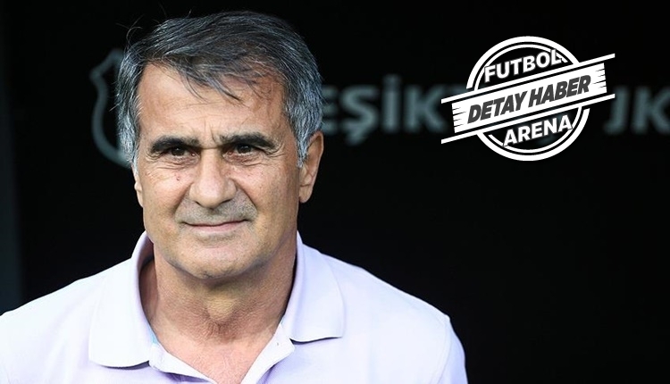 Şenol Güneş'in aldığı en pahalı oyuncular