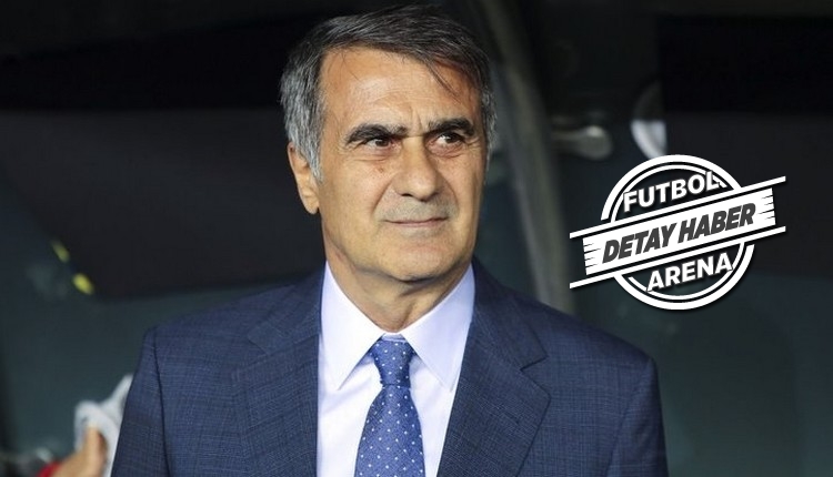 Beşiktaş, Şenol Güneş ile en kötü döneminde