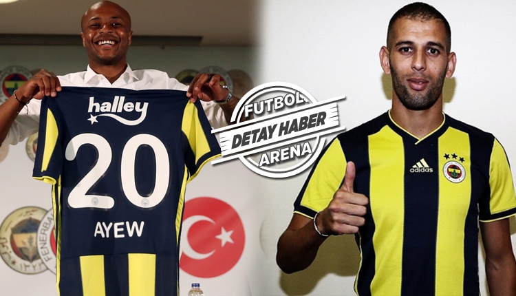 FB Transfer: Fenerbahçe'nin transfer raporu (Fenerbahçe transferleri 2018-2019)