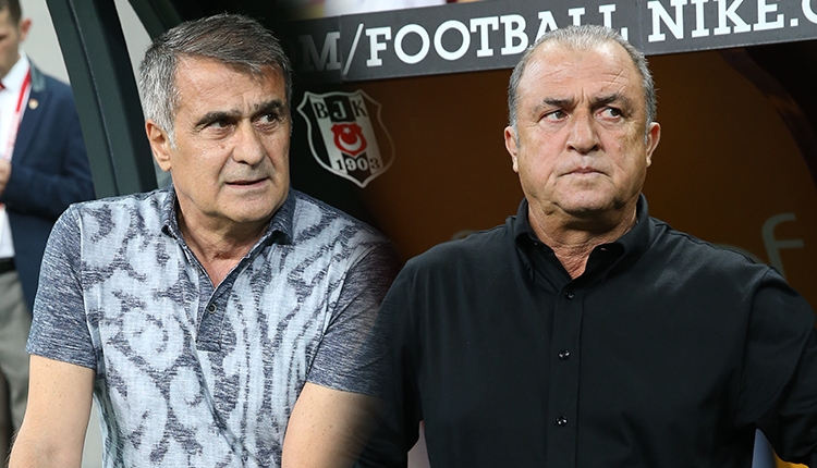 Şenol Güneş'e Fatih Terim soruldu: Flaş cevap!